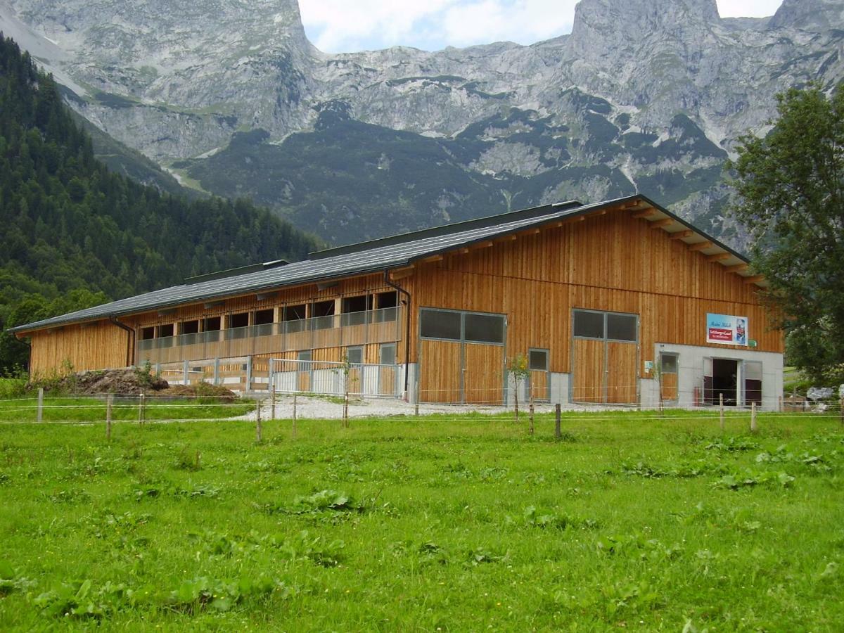 Oerglgut Apartamento Werfenweng Exterior foto